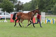 2011-06-30 10-33-26 2