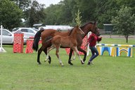 2011-06-30 10-33-26 3